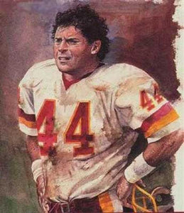 John Riggins Jersery 44